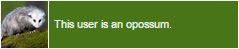 this user is an opossum (virgina possum)
