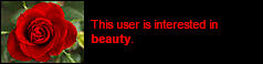 a red rose 'this user is interested in beauty'