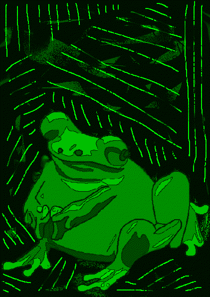 a fat green frog surrounded by green lines