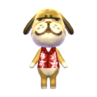 brown bulldog-like dog with white paws and cream-colored muzzle and dark brown ears wearing a red hawaiian shirt. his hands are cream-colored like his snout. his tongue pokes out