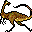 hallopus, a small and gracile animal with elongated limbs