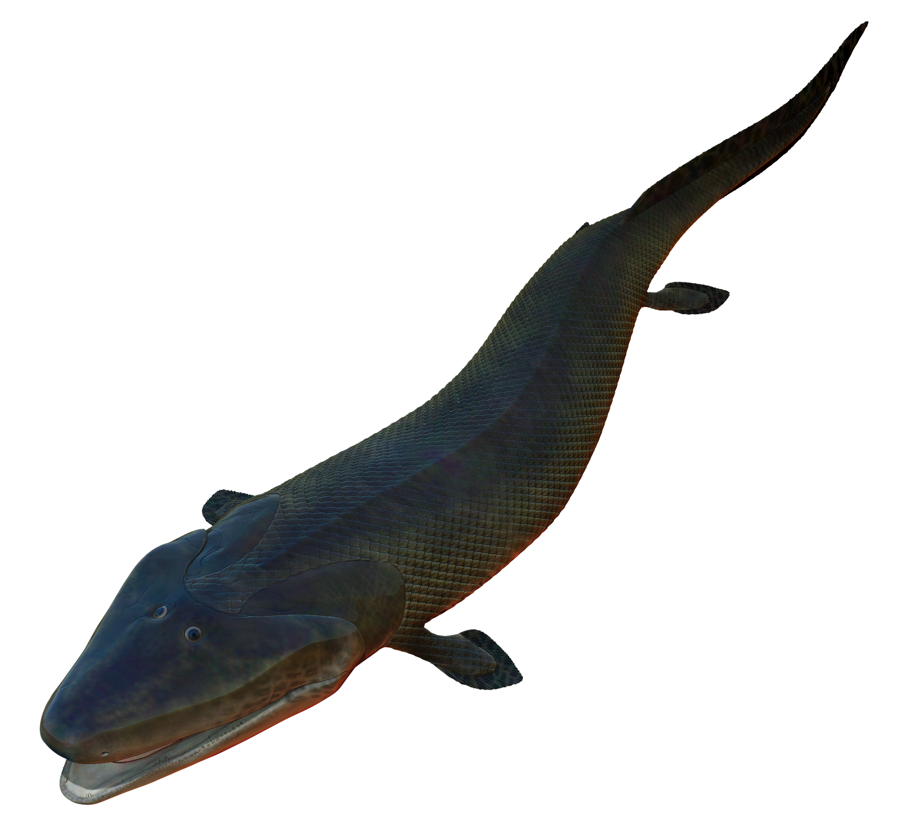 restoration of tiktaalik with a broad triangular head, four fins, long salamander like body, two eyes on the top of its head