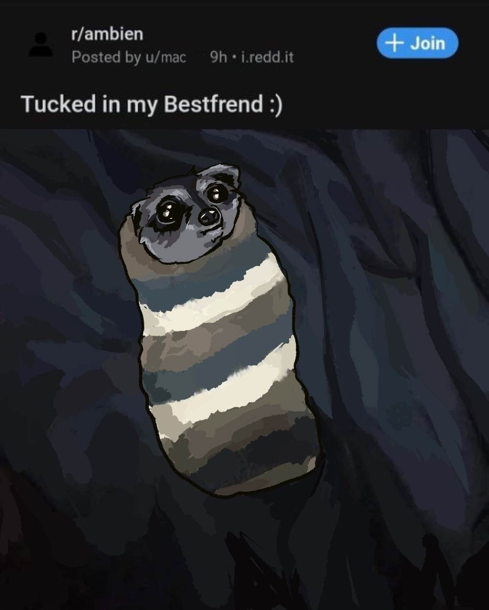 a screenshot of a reddit post on r/ambien by u/mac. the title of the post says 'i tucked in my bestfrend' and it's a picture of a raccoon with all its limbs and most of its head stuffed in a wooly striped sock, looking out with big wet eyes
