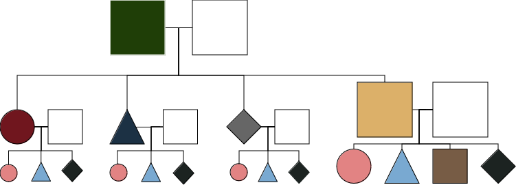 kinship diagram such that there is a unique term for an egg-laying parent, the egg-laying parent's egg-laying parent, the married partner of someone in the egg-laying parent's immediate family, terms for each gender at the generation of the egg laying parent, terms for each gender at the person's generation that are the same for siblings and also cousins